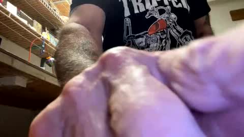 Snapshot of gngnxxx chatting on October 23, 2025, 4:45 am gngnxxx online show from October 23, 2025, 4:45 am