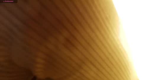 M A R T I N A  online show from January 12, 2026, 7:19 pm