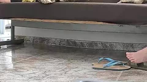 goddesshannahfeet_ online show from April 13, 2026, 4:45 pm