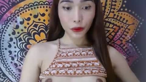 Caulix online show from December 31, 2024, 8:48 am