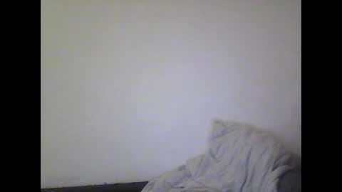 Snapshot of gohan8558 chatting on December 24, 2024, 10:28 pm gohan8558 online show from December 24, 2024, 10:28 pm