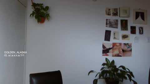 Alaska online show from November 9, 2025, 8:07 pm