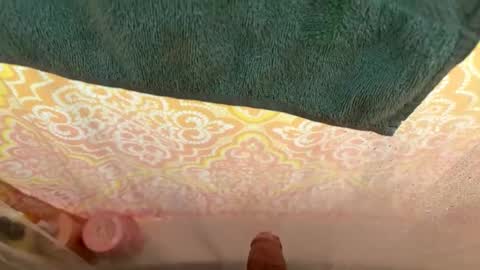 Snapshot of goldio27 chatting on November 14, 2025, 11:35 pm goldio27 online show from November 14, 2025, 11:35 pm