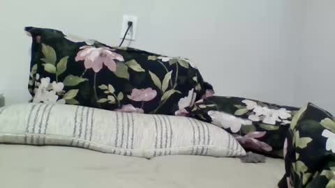 Snapshot of golflovergirl chatting on April 10, 2026, 7:24 am lightskingirl19 online show from April 10, 2026, 7:24 am