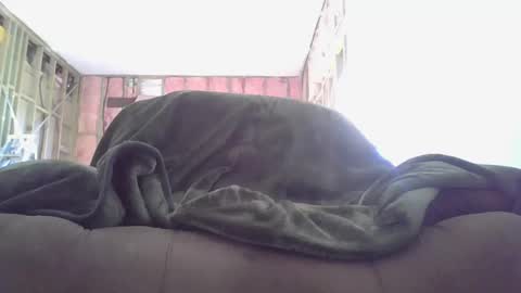 goodcock12345 online show from December 3, 2024, 8:28 pm