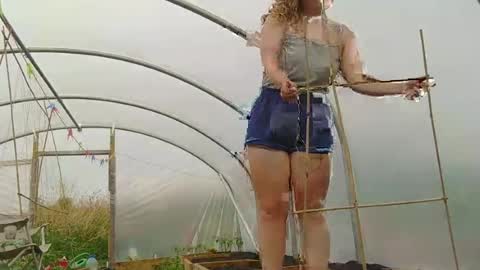 Layla online show from July 25, 2026, 2:03 pm
