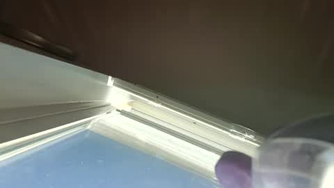 Snapshot of goosetrucker982440 chatting on September 30, 2025, 2:00 pm goosetrucker982440 online show from September 30, 2025, 2:00 pm