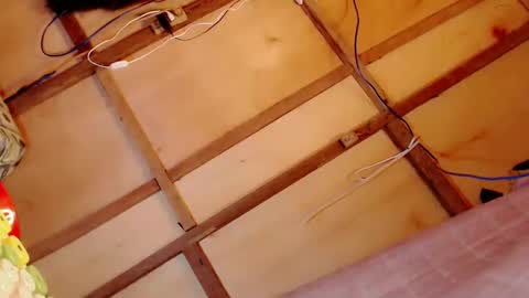Snapshot of gorgeous_mafia16 chatting on February 16, 2025, 5:37 pm Janna Marie online show from February 16, 2025, 5:37 pm