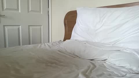 Dillan Diamonds online show from March 4, 2025, 8:35 am