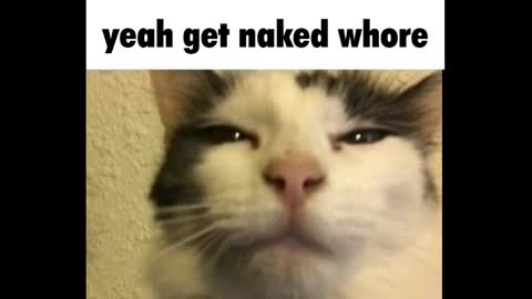 Amy online show from March 3, 2025, 12:26 am