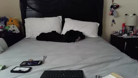 Snapshot of gothbaby305 chatting on October 29, 2025, 1:46 pm gothbaby305 online show from October 29, 2025, 1:46 pm