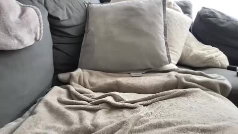 Snapshot of gotthisbbc chatting on November 6, 2025, 5:14 pm gotthisbbc online show from November 6, 2025, 5:14 pm