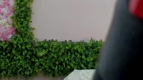 Mi Name is violeta  online show from March 1, 2025, 4:15 am