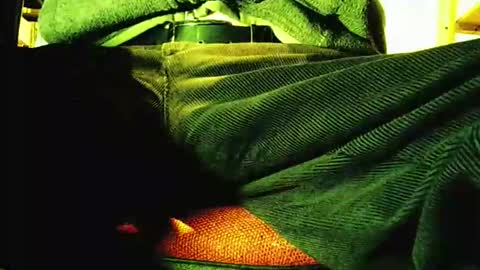 grapefruit online show from November 12, 2025, 9:21 am