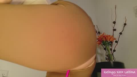 gringo_xxx_latina online show from November 20, 2025, 3:50 am
