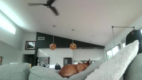 gumbyliscious online show from January 18, 2026, 9:18 pm