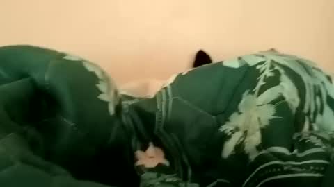 guttybeton online show from April 17, 2026, 6:16 am