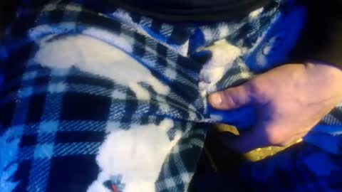 H2omygod online show from January 17, 2025, 2:07 pm