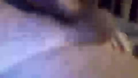 Snapshot of h_rd333 chatting on March 11, 2025, 1:45 pm h_rd333 online show from March 11, 2025, 1:45 pm