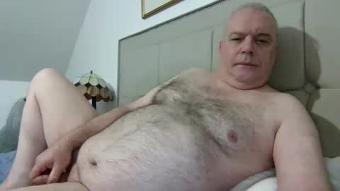 Snapshot of haggisstop chatting on November 4, 2025, 9:19 am haggisstop online show from November 4, 2025, 9:19 am