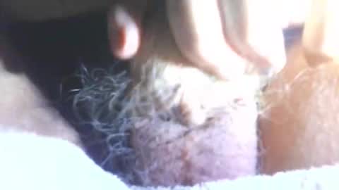 hagridthehorrible online show from January 11, 2026, 6:57 pm