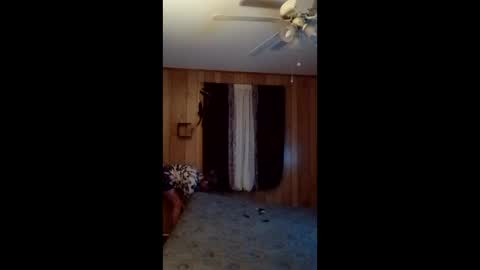 hailstorm32 online show from February 24, 2026, 11:19 am