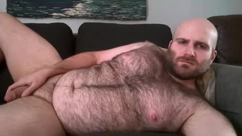 Snapshot of hairiestbear chatting on February 11, 2025, 4:02 pm Hairiest Bear online show from February 11, 2025, 4:02 pm