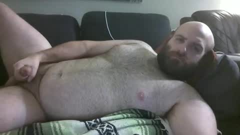 Hairiest Bear online show from February 22, 2026, 5:40 am