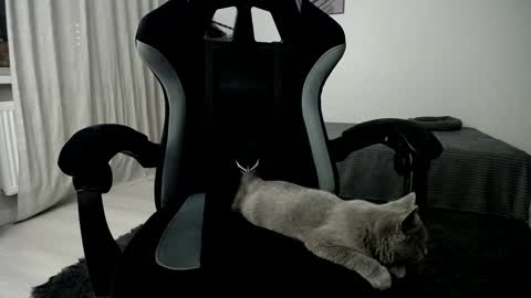 Snapshot of hairycuss chatting on January 10, 2025, 5:05 am Adam online show from January 10, 2025, 5:05 am