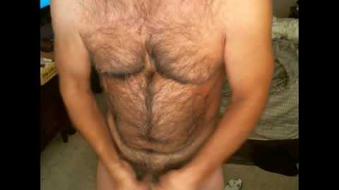 Hairy pecs online show from November 7, 2025, 9:42 am