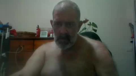 Snapshot of hairypigsyd chatting on November 19, 2025, 8:31 pm HairyPigSyd online show from November 19, 2025, 8:31 pm
