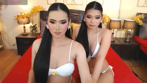 YOUR SIDECHIC HAILEY online show from October 8, 2025, 8:23 am