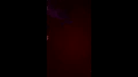 halfhorsefr online show from June 10, 2026, 8:24 am