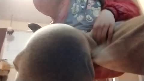 halo3489 online show from March 2, 2026, 9:49 am