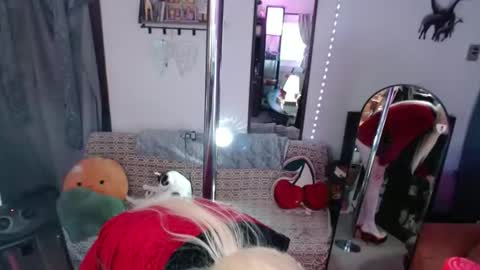 halovalentine online show from February 28, 2026, 1:12 pm