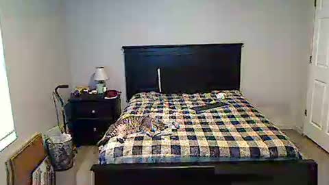 hammerthatthang73 online show from May 17, 2026, 11:28 am