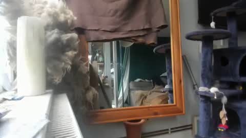 handncocknocum online show from December 9, 2024, 8:44 am