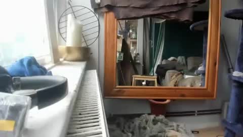 handncocknocum online show from December 17, 2024, 11:17 am