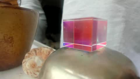 handncocknocum online show from December 26, 2024, 1:54 pm