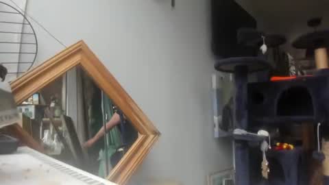 handncocknocum online show from February 8, 2025, 9:24 am