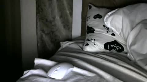 Snapshot of handsome_king30 chatting on December 30, 2024, 9:27 am handsome king online show from December 30, 2024, 9:27 am