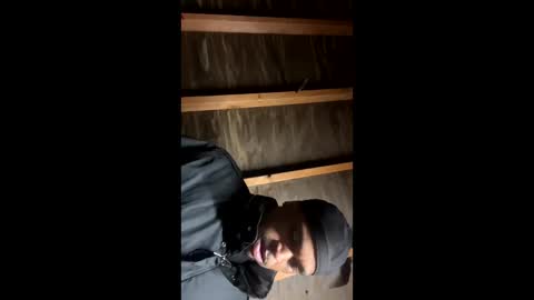 Snapshot of handsomeda1 chatting on January 19, 2025, 6:31 am handsomeda1 online show from January 19, 2025, 6:31 am