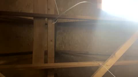 Snapshot of handsomeda1 chatting on January 30, 2025, 10:29 am handsomeda1 online show from January 30, 2025, 10:29 am