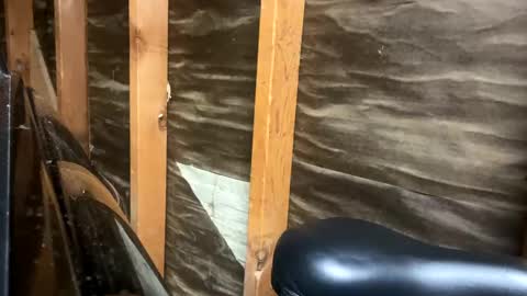 Snapshot of handsomeda1 chatting on February 1, 2025, 2:47 am handsomeda1 online show from February 1, 2025, 2:47 am