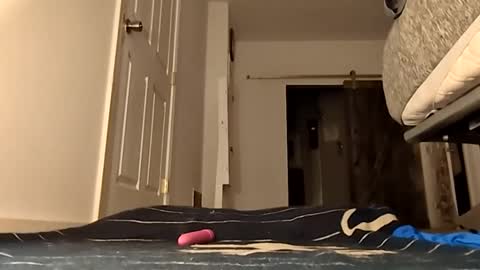 Handydick7373 online show from May 24, 2026, 4:06 am