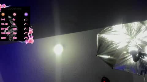 Hanna online show from November 3, 2025, 1:34 pm