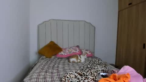 Hanna online show from December 31, 2024, 3:31 pm