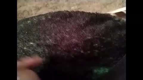 hardandhorny422 online show from October 13, 2025, 5:24 pm