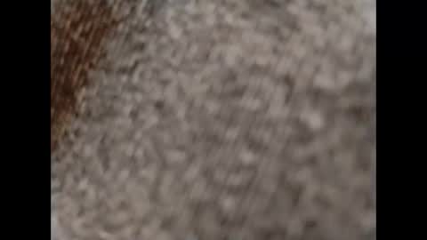 hardandhorny422 online show from October 15, 2025, 11:54 am