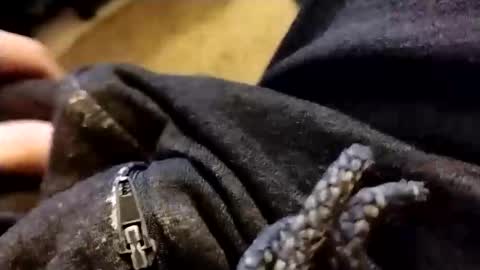 hardandhorny422 online show from February 5, 2026, 1:05 pm